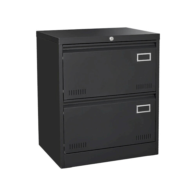 Metal Lockable File Cabinet with Lock and 2 Drawers