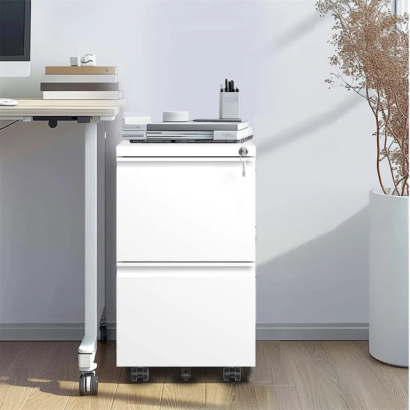 2 Drawer Metal Mobile File Cabinet, Rolling File Cabinet with Lock